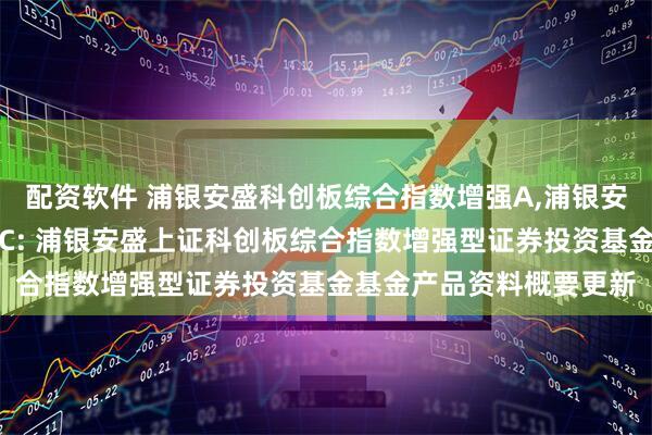 配资软件 浦银安盛科创板综合指数增强A,浦银安盛科创板综合指数增强C: 浦银安盛上证科创板综合指数增强型证券投资基金基金产品资料概要更新
